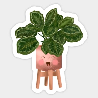 Cute Plant Illustration, Philodendron Burle Marx Variegated Sticker